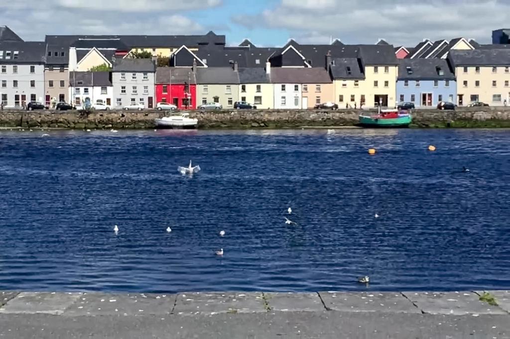 Dominick Street Apartments Galway Exteriér fotografie